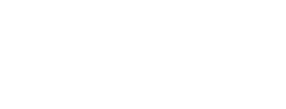 Merz Ministry Website